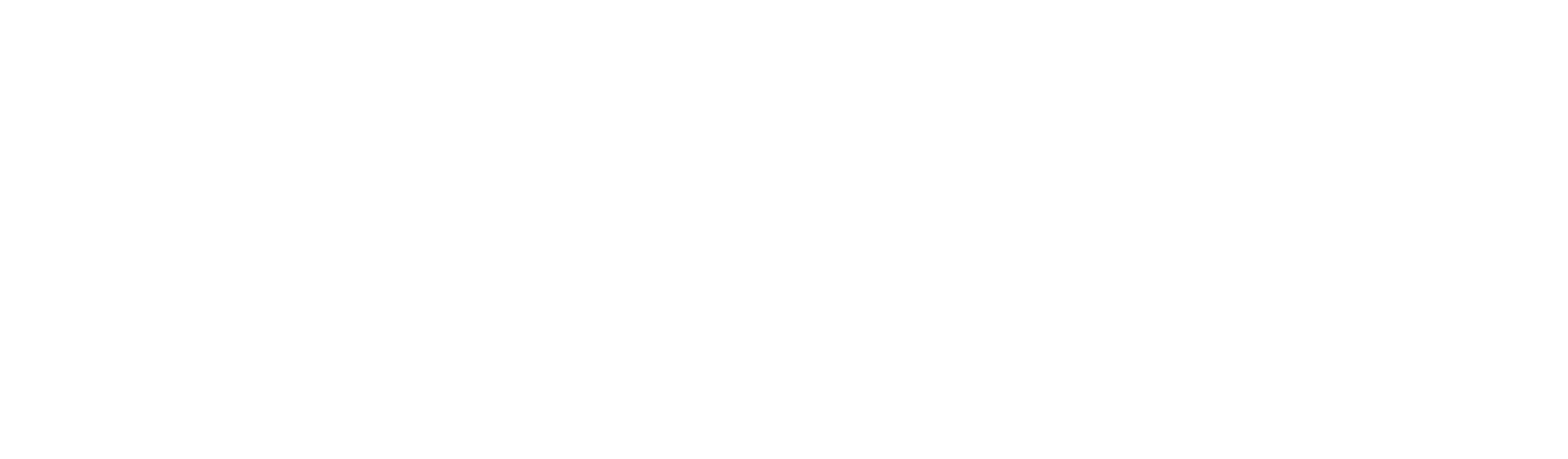 Platin Elektronik